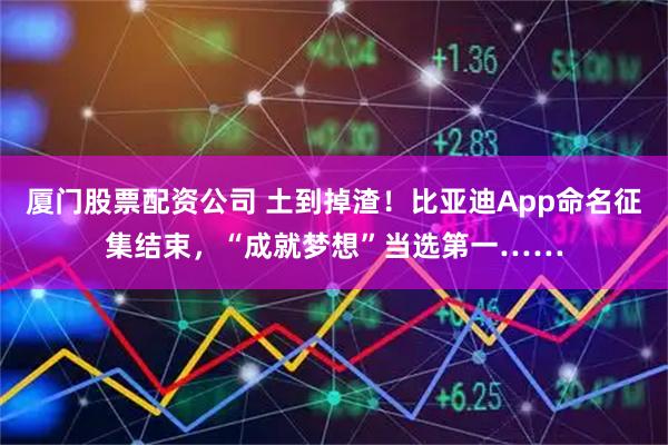 厦门股票配资公司 土到掉渣！比亚迪App命名征集结束，“成就梦想”当选第一……